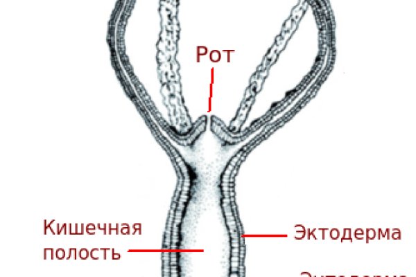 Кракен наркомаркетплейс