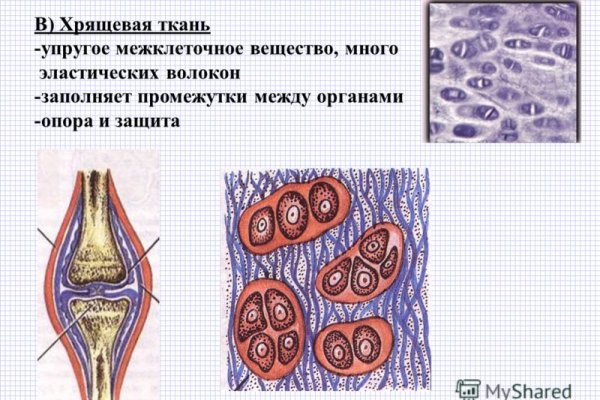 Кракен ссылка на тор официальная онион